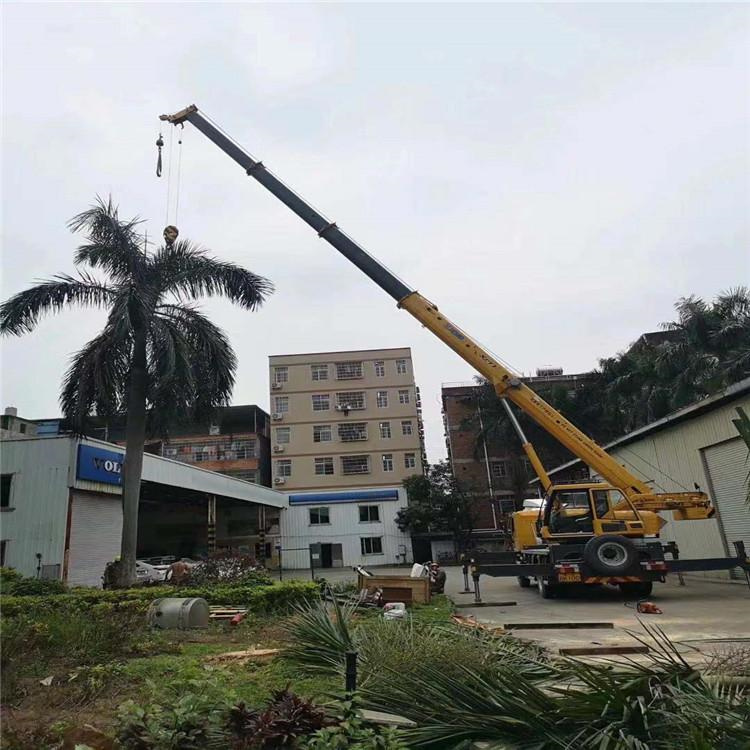 凤冈汽车吊出租多少钱？全面解析与市场行情